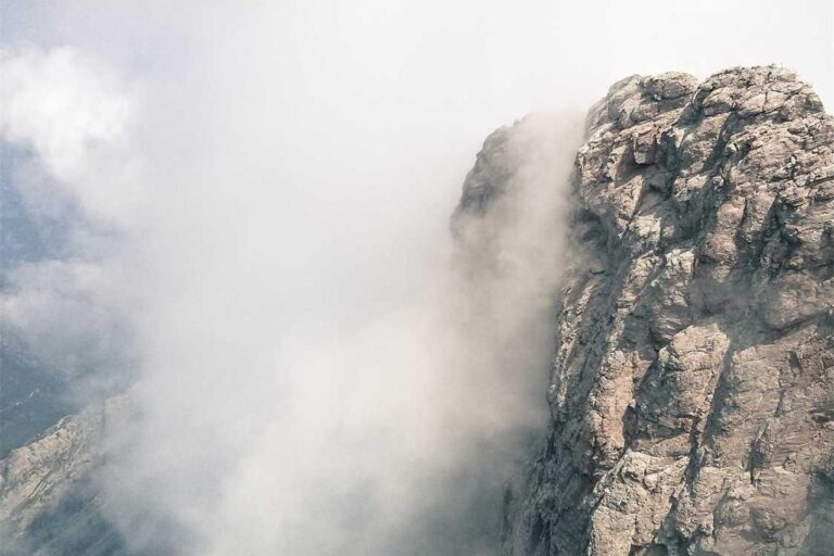 1c0a6e60-5aa1-31ae-b086-d916e71cef96