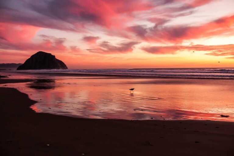 64fec0cf-9864-34ee-95c7-75123bb31fd6