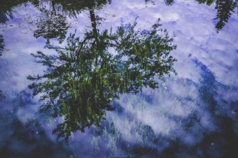 7ca8ab89-9fd1-38dc-8af1-7c3dd9073df3